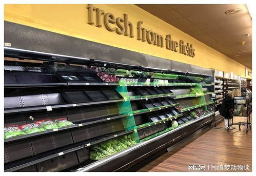 英伦抗疫奇观 中国制造医疗物资“秒光”背后的供应链启示